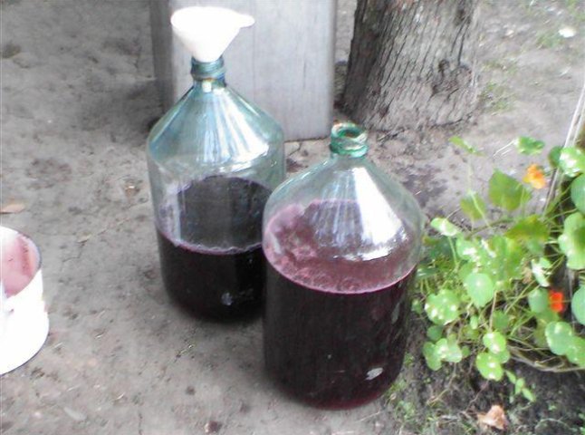 Неповнолітній житель Виноградівщини отруївся домашнім вином