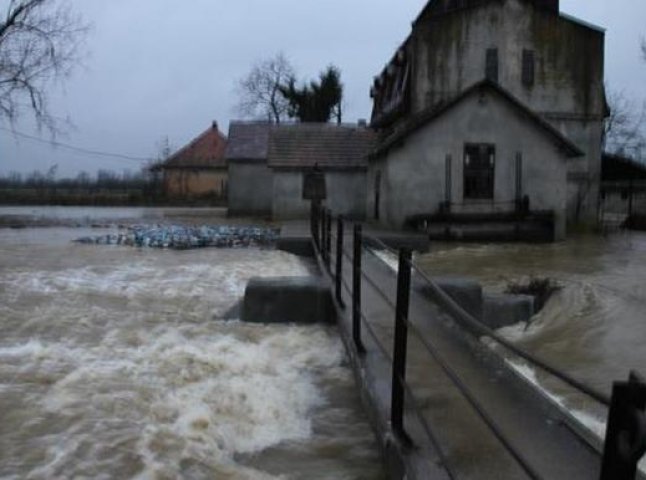 На Виноградівщині вода залила дворогосподарства