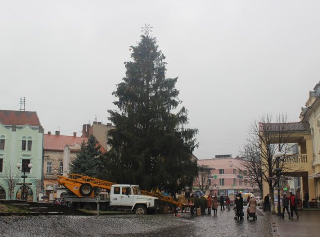 У центрі Мукачева прикрашають головну ялинку міста