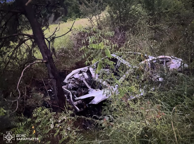 На Хустщині повністю згоріла Tesla після ДТП На Хустщині повністю згоріла Tesla після ДТП