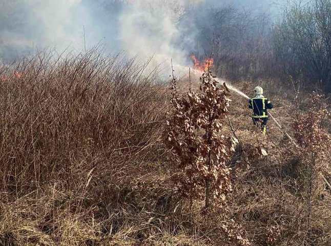 Неконтрольований вогонь у Мукачеві перекинувся на будівлю