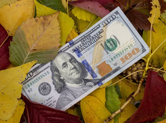 Економіст дав прогноз, чи очікувати різких змін курсу долара у листопаді 2025 року