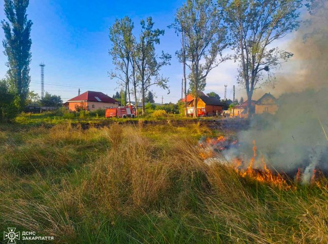 Впродовж доби рятувальники 21 раз залучались до гасіння сухої трави та сміття