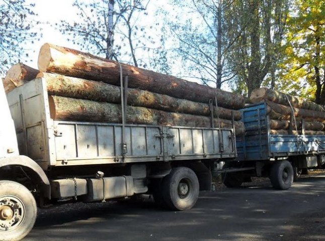 На Закарпатті троє осіб намагалися незаконно перевести деревину