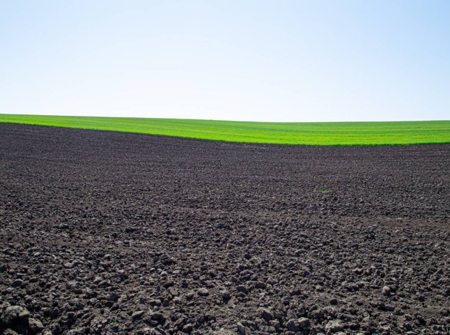 Яка середня вартість 1 га землі в Україні, станом на березень 2026 року