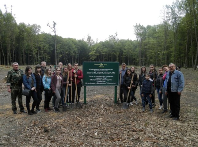 Лісівники разом із студентами провели весняну лісокультурну кампанію