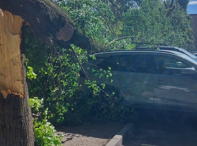 Загиблий, побиті авто і блекаути: наслідки негоди на Закарпатті