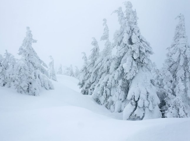 Де в Україні намете найбільше снігу