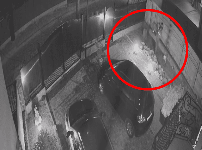 Злочин у Мукачеві записала камера спостереження: відео, як злодій перелізав паркан у двір та крав майно