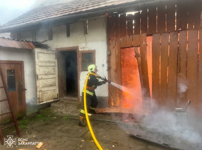 Рятувальники гасили пожежу в Ужгородському районі