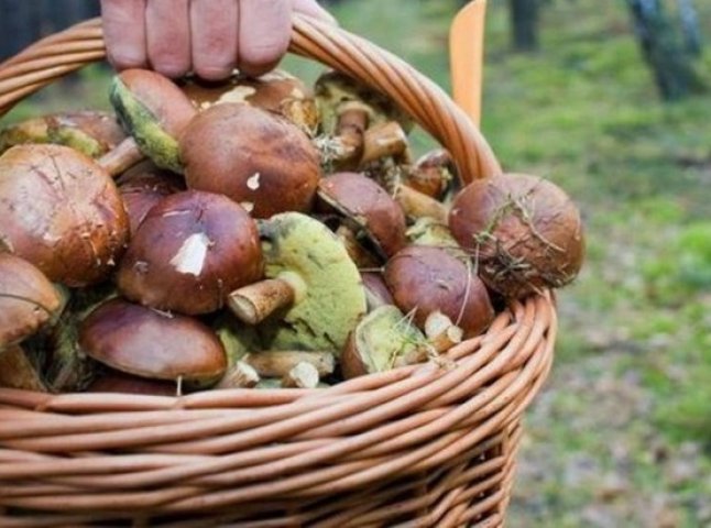 Двоє підлітків пішли по гриби і заблукали