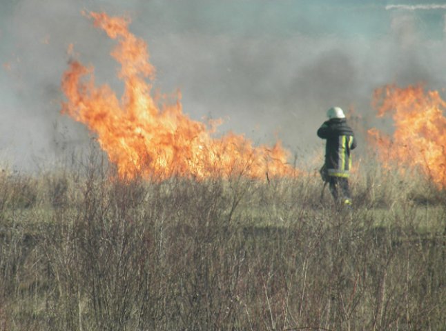 В області з початку року сталось більше 350 пожеж на відкритій території (ФОТО)