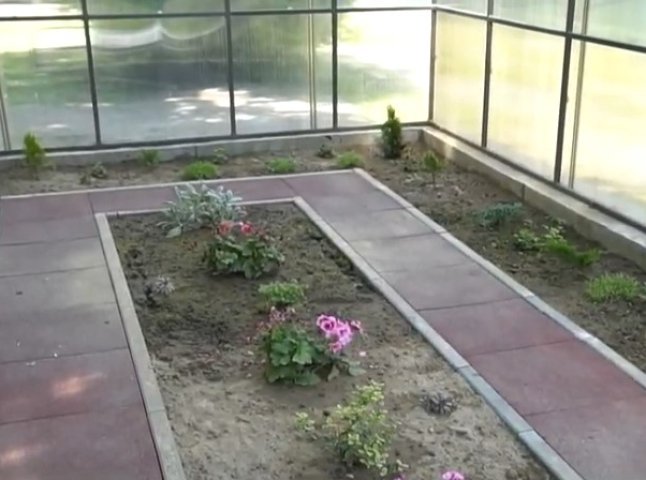 В одному із ліцеїв Мукачева облаштували ботанічний сад