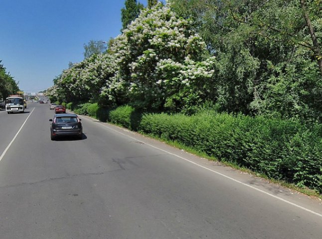 Депутати Мукачівської міської ради відмовились перетворювати частину парку біля "Мрії" на дорогу (ФОТО)