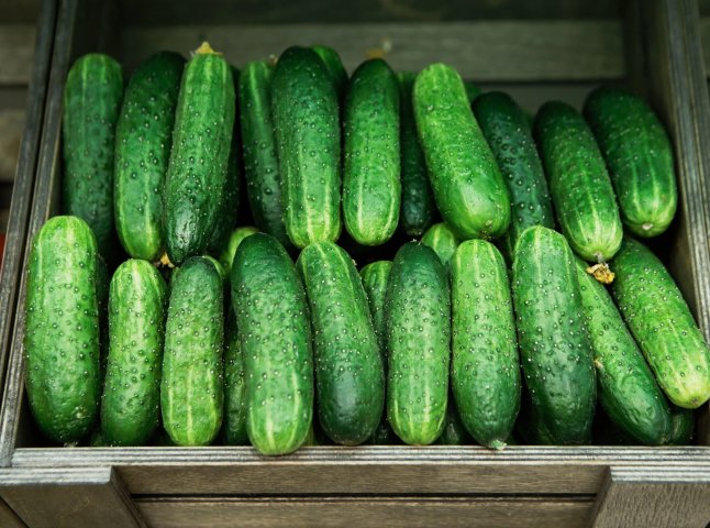 Вартість огірків відчутно зросла: що буде з цінами далі