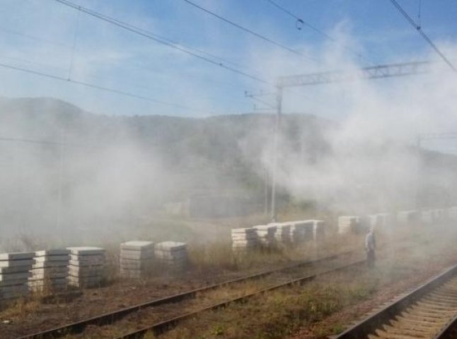 На Великоберезнянщині під час руху загорівся поїзд