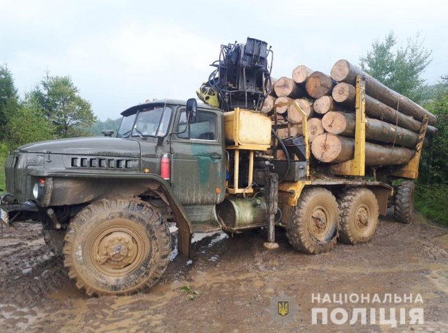 Поліція виявила вщент заповнену діловою деревиною вантажівку