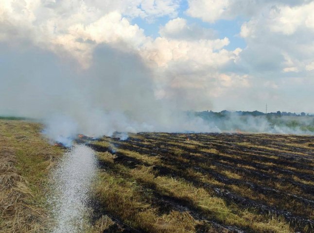На Виноградівщині загорілось поле із сіном