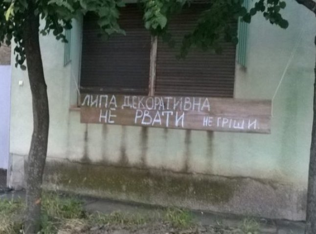 "Не гріши...", – як у Хусті табличками захищали липи від масового ламання гілок