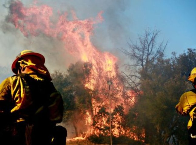 На Закарпатті різко збільшилась кількість пожеж в екосистемах
