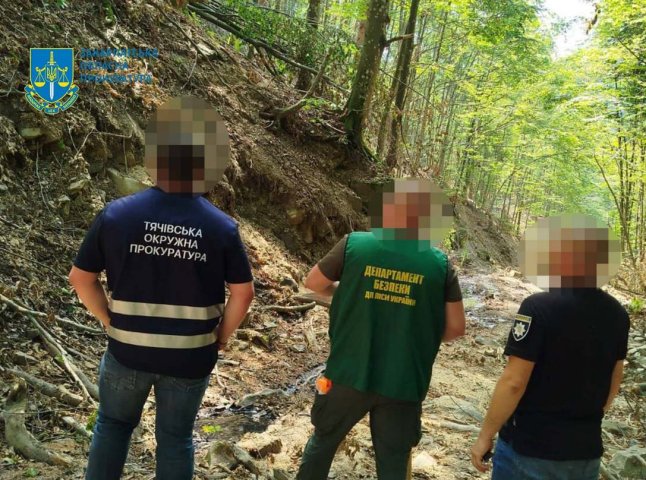 Виявлено безліч «додаткових» пнів: на Тячівщині викрили незаконну вирубку лісу Виявлено безліч «додаткових» пнів: на Тячівщині викрили незаконну вирубку лісу