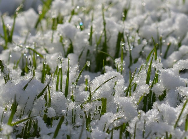 В Україну повернуться снігопади наприкінці березня: синоптики назвали дати
