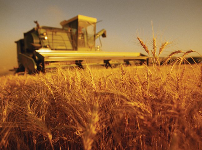 Аграрний сектор Мукачівського району налічує 32 сільськогосподарські підприємства