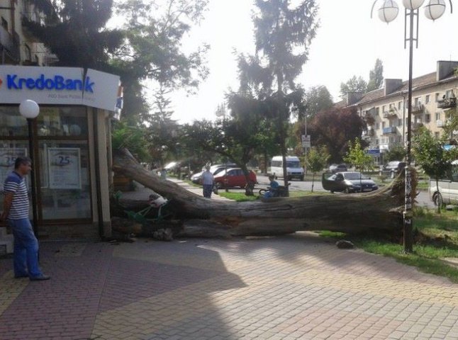 Химерні фігури перенесуть з проспекту Свободи у Новий район