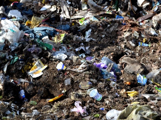 Безлад, сморід та зграї собак: на вулиці Лавріщева утворилось стихійне сміттєзвалище