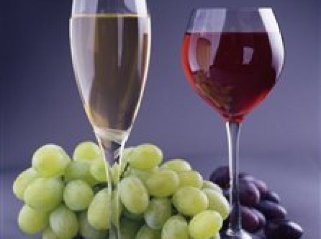 У Виноградові відбувся фестиваль виноградарів-виноробів “Угочанська лоза-2010″
