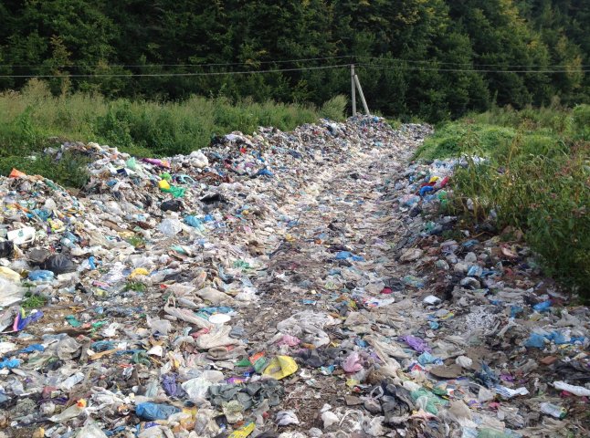 Мережу шокували фото великої кількості сміття неподалік центру Рахова