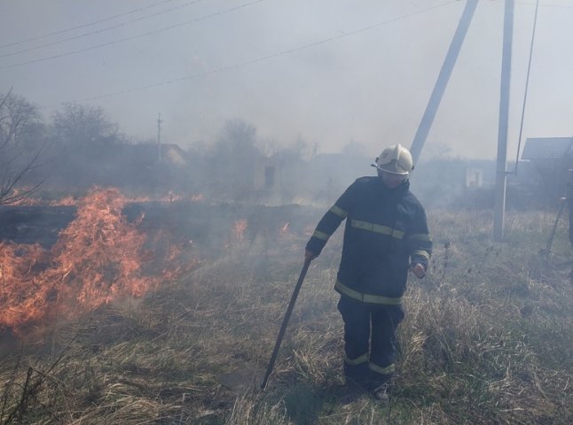 Велика пожежа в Ужгородському районі: вогонь гасили 50 рятувальників