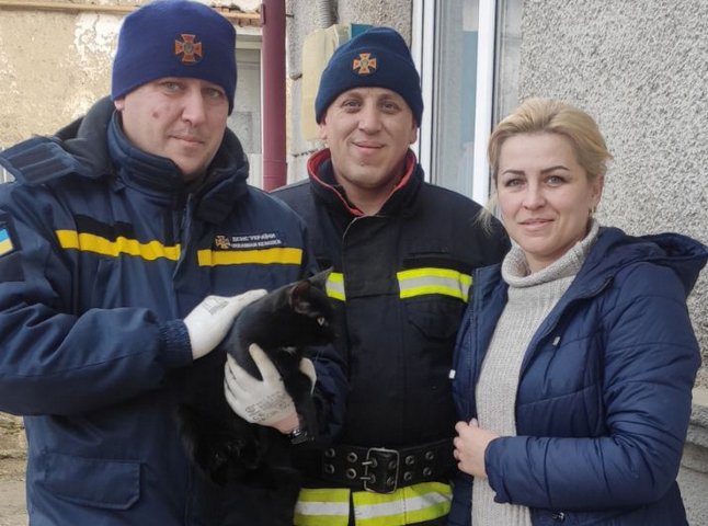 В Ужгороді рятувальники зняли з дерева кота, який просидів там 2 дні і не міг злізти