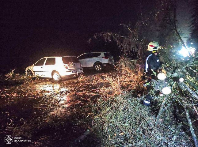 Рятувальники розповіли про знеструмлення та інші наслідки негоди на Закарпатті