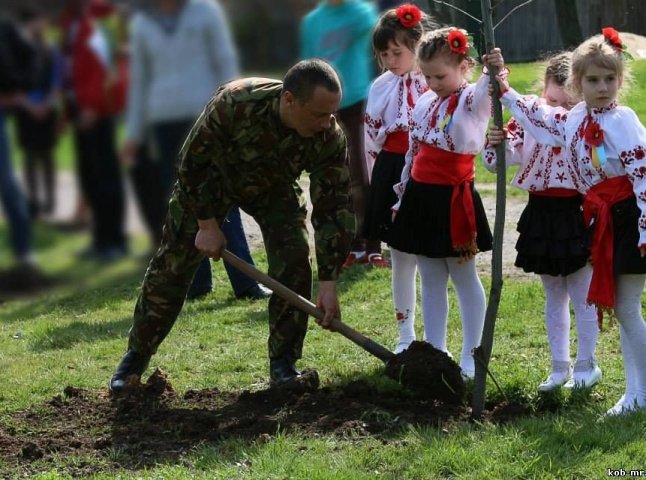 У Києві висадили алею закарпатських дубів