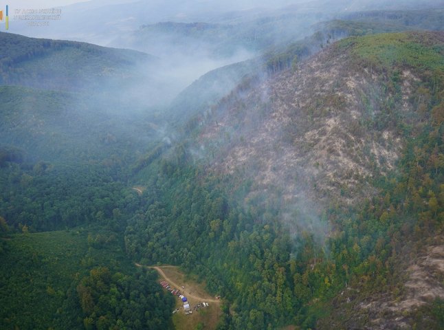 Понад 200 людей намагаються загасити лісову пожежу на Закарпатті