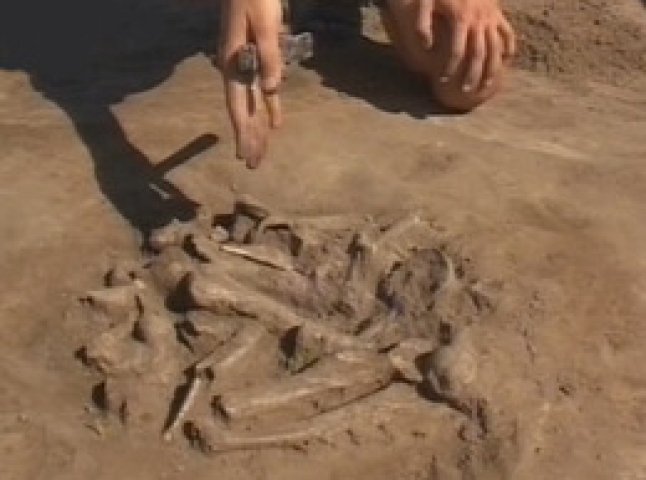 На Рахівщині школяр виявив поховання часів війни