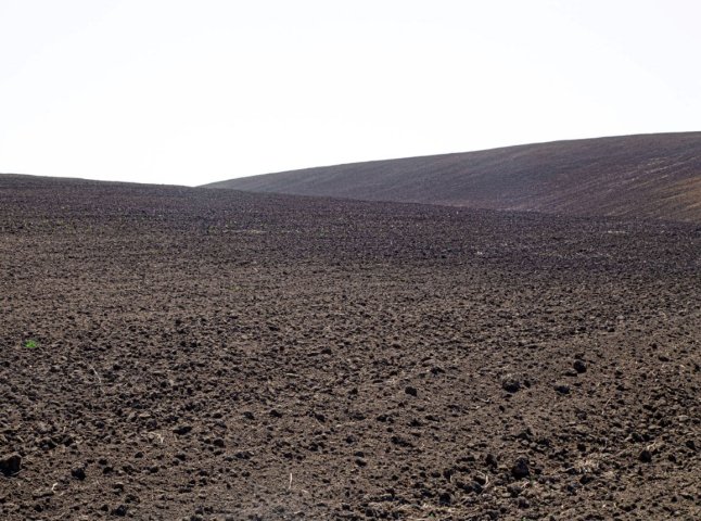 Забруднення земель на 15 мільйонів: посадовець на Закарпатті отримав підозру