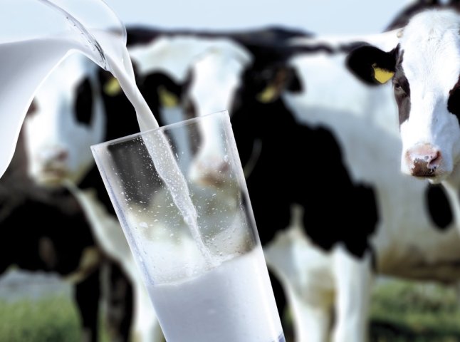 В Україні зростуть ціни на молочну продукцію