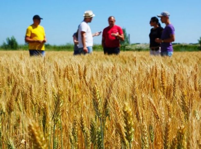 Кабмін компенсує збитки аграріям України