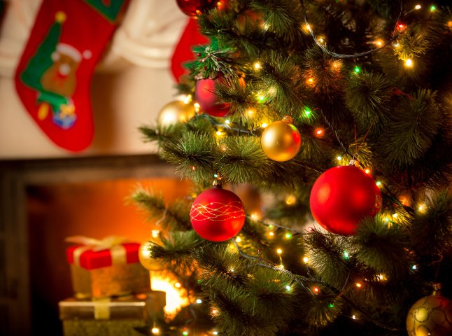 Новий рік і Різдво 2019 на Закарпатті: що, де, за скільки?