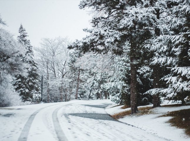 Сніг, ожеледиця та пориви вітру: синоптики озвучили прогнози на 14 січня