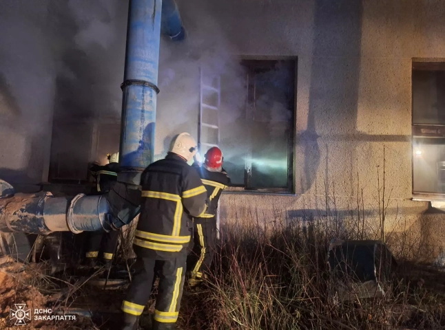 У столярній майстерні одного з підприємств трапилась пожежа