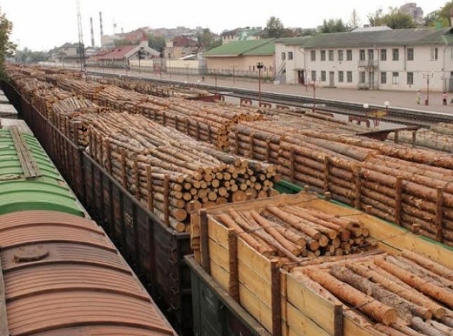 Підприємець із Мукачівського району намагався вивезти за кордон 11 вагонів лісу по підробленим документам