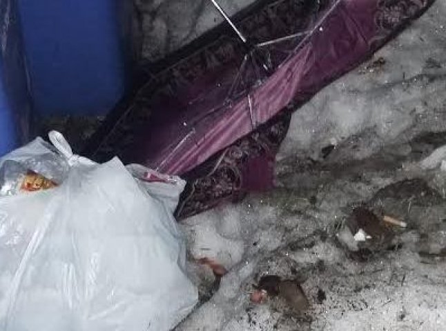 Мукачівські "муніципали" оштрафували містян, які викинули сміття на тротуари