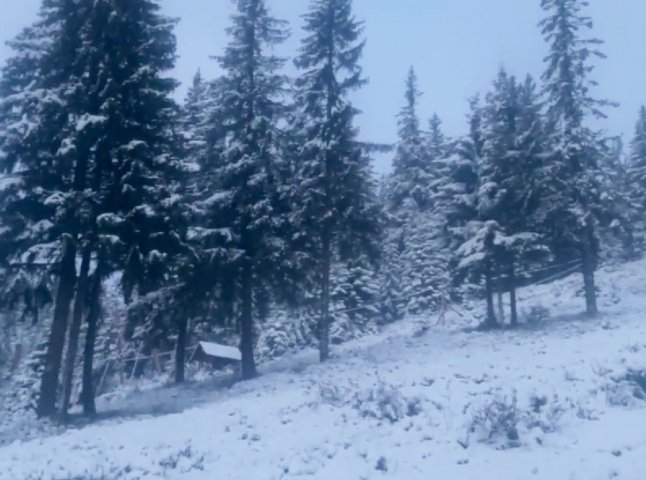 У горах вдарив мороз та випав сніг