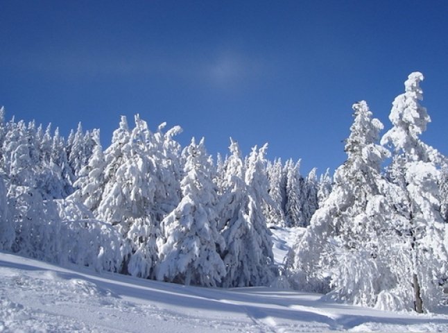 Зима в Україну прийде вже 11 листопада