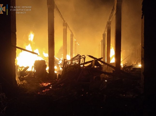 Велика пожежа на Закарпатті: згоріли три автомобілі та значна площа покрівлі