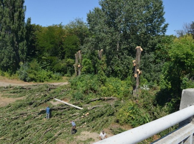 На дорогу, що з’єднує два села Берегівщини, впали дерева