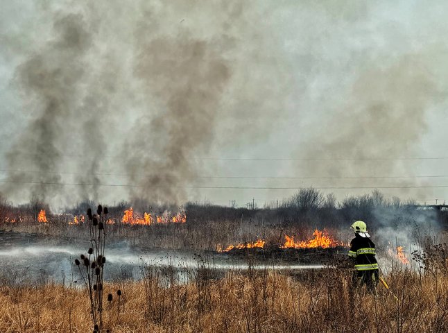 Довелося викликати підкріплення: на Мукачівщині вирувала велика пожежа